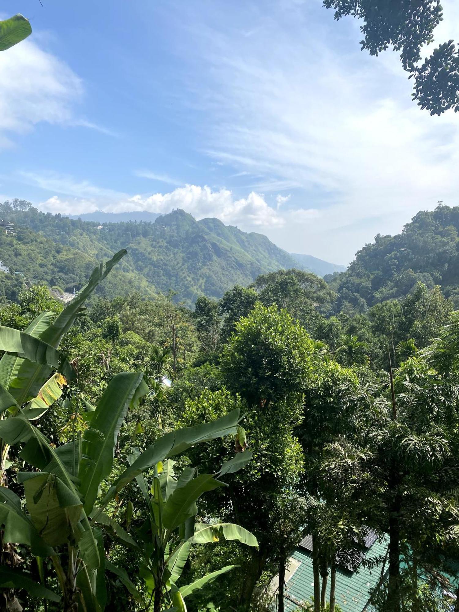 Mid Scenery Home Stay エッラ エクステリア 写真